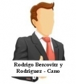 Rodrigo Bercovitz y Rodriguez - Cano